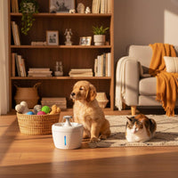 Electric Pet Drinking Fountain Noiseless Pump Circulating Cat Water Dispenser Large Capacity Cat and Dog Water Dispenser for Cats, Dogs