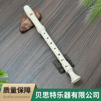 BST Soprano 8-Hole Recorder for School Music