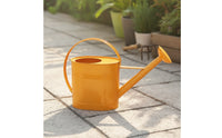 Metal Watering Can with Sprinkler Head Arched Handle Watering Can with Long Spout Stylish Vessel Modern for Gardeners