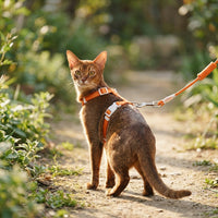 Kitten Harness and Cat Leash Set, Adjustable Polyester H-Style Travel Harness with 150cm Kitten Leash, Buckle Closure for Outdoor Pet Walking