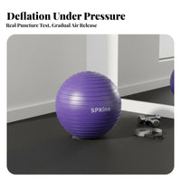 Anti-Rupture Exercise Ball Extra Thick Exercise Ball Heavy Duty Fitness Equipment Multi-Purpose for Men, Women, Home Gym, Pilates, Physical Rehabilitation, Office