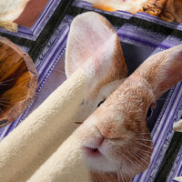 Easter Rabbit Blanket Bunny Decor Throw Blanket Super Warm Soft Plush Lightweight Fleece Flannel Animals Blanket Rabbit Gifts for Women Girls Boys Men Kids for All Season Couch Bedding