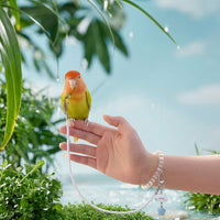 Parrot Leash and Flying Leash for Parrots with Leg Band, Budgie Leash and Cockatiel Leash, Outdoor Bird Harness for Control