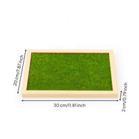 Wooden Base with Grass Wood Miniature Display Base Layered Wooden Scenery Tray for Hobbyists