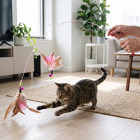 Retractable Feather and Wire Cat Teaser Wand Toy with Bell for Interactive Play