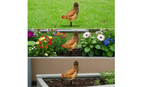 Decorative Chicken Stake with Ground Insert Reusable Chicken Garden Stake Weatherproof Lawn Ornament Sturdy for Flower Bed