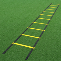 agility ladder