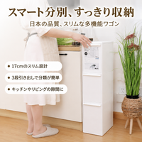 Trash Bin Sorting Recyclables 3-Tier Drawer-Type Slim Dust Box with Lid for Kitchen Gaps, Resin Made