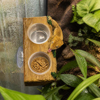 Reptile Chameleon Gecko Natural Landscape Anti-mold Chew-resistant Detachable Feeding Wood Stump with Double Bowls
