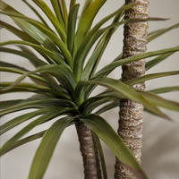 artificial plant arrangement