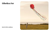 Squid Kite in Light Wind Soft Body Kite Easy to Fly for Beach, Beginners
