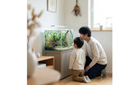 Hide Cave Resin Aquarium Cave Natural for Aquatic Creatures
