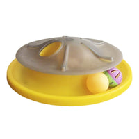 Interactive Cat Toy Exercise Cat Teaser Toy Round for Cats