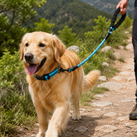 dog leash and collar set