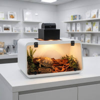 Clear-Front Reptile Enclosure Transparent Reptile Terrarium Tank Sturdy Slanted Terrarium Easy to Clean for Indoor