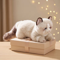 Stuffed Cat Furry Stuffed Cat Kitten Stuffed Toy Collectible Huggable for Collectors, Desk Decoration, Shelf Display