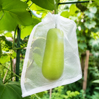 White Vegetable Garden Netting, Reusable for Vegetable Crops, Vegetable and Plant Protection in PE, 5-Year Lifespan