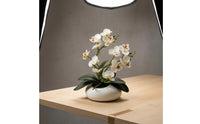 Phalaenopsis Tabletop Flowering Plant Decor 12-Blossom Flowering Plant Bonsai Photography Prop Film Material