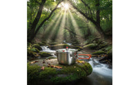 Portable Pressure Cooker Stainless Steel Pressure Pot Induction Compatible Cooker with Foldable Handles Geschikt Voor Alle Kookplaten for Campers, Camping