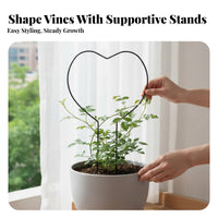 Indoor & Outdoor Use Houseplant Climbing Stake Decorative Design Garden Trellis Natural Look Plant Support Structure for Gardeners, Home Decorators, Potted Plants, Balcony, Patio