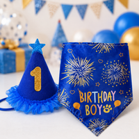 Dog Birthday Costume Banner, Cone Hat, Triangle Bandana Set, Pet's Special Day Celebration