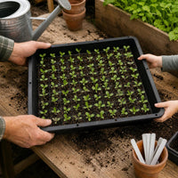 Seedling Tray with Drainage Holes and Humidity Dome, Multi-Size Plant Germination Kit for Succulents, Fruits, and Vegetables