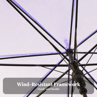 Transparent Umbrella Automatic Open Long Handle Umbrella Water for Children, Women, Photoshoot, Wedding