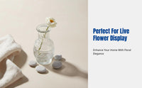 Mini Glass Vase, Nordic Modern, Transparent Polished Flower Holder, Home Decor, Water Propagation, Random Design