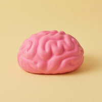 Raised Grooves Brain Squishy Toy Pink Brain Stress Ball Slow Rising Anatomy Stress Ball Handheld