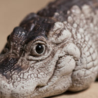 Tea Pet with Textured Surface Rustic Tea Pet Mini Crocodile Figurine for Collectors