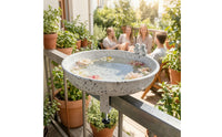 Metal Bird Feeder and Bird Bath Combo 2-in-1 Hardware Sturdy for Balcony