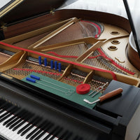 9 Pieces 9 Piece Piano Tuner Kit Portable Carry Bag Professional Piano Tuning Tool Set Rust-Resistant for Music School, Home Use