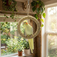 Swing Toy and Budgie Toy for Small Parakeets, Rope Only Circular Climbing Toy for Cockatiel Birds, No Bell Hanging Perch for Cage Enrichment