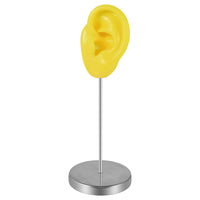 Washable Ear Display Model with Stand Stable Ear Model with Stand Reusable Lightweight for Jewelers