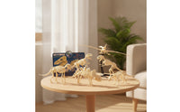 6 Pieces Dinosaur Skeleton Toys Figures Kit Translucent Dinosaur Skeleton Kit Archaeology Model for Kids