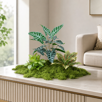 artificial plant arrangement