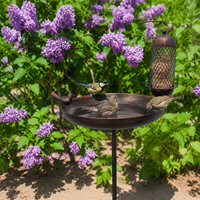 Standing Metal Bird Bath, Bird Bath for Wild Birds, Garden Water Bowl, Distressed Bronze Bird Feeder