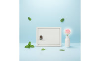 Surface-Mounted Milk Box Iron Locked Milk Box Secure Locking Mailbox for Community Gate