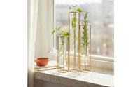 Test Tube Flower Vase Minimalist Design Test Tube Vase Modern Design Water-Based Rooting Display Stand for Desktop, Tabletop, Bookshelf
