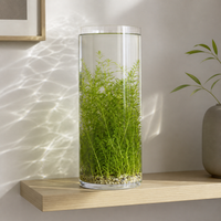Thickened Large Small Glass Fish Tank Living Room Floor-Standing High Cylindrical Round Vertical Aquarium