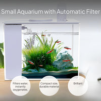 Mini Desktop Betta Fish Tank with Side Purifier, LED