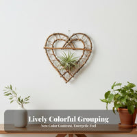 Hand-Woven Macrame Air Plant Holder handmade Hanging Planter Bohemian and design on the wall Decoration Easy to Hang for Boho lovers, Home Decorators, Gardeners, Living Room, Bedroom, Balcony, Office