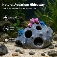 aquarium ornament