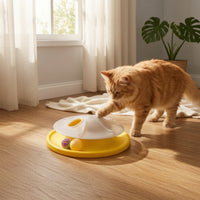 Interactive Cat Toy Exercise Cat Teaser Toy Round for Cats