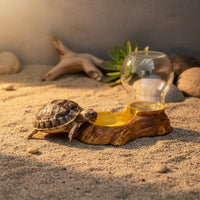 Easy to Clean Automatic Amphibian Water Dispenser Anti-Tip Design Weight-Based Water Feeder for Tortoise Space Saving Terrarium Accessory