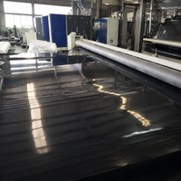 HDPE Geomembrane Sheet, Waterproof Liner for Ponds, Landfills, Disposal Sites, Lakes, Reservoirs, Black