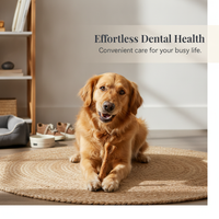 Dog Dental Chews for Teeth Cleaning and Bad Breath, Beef Flavor, Bone Shape, for Small, Medium, and Large Dogs