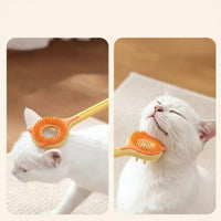 Extendable Handle Telescopic Feline Brush Interactive Play Feline Brush 2 in 1 for Home