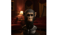 Ape Headpiece Full-Head Wearable Primate Headpiece Realistic for Adults, Cosplayers, Costume Parties, Jokes