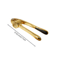 Garlic Press Manual Garlic Press with Storage Box Compact for Everyday Cooking